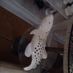 Coffee table (antique)