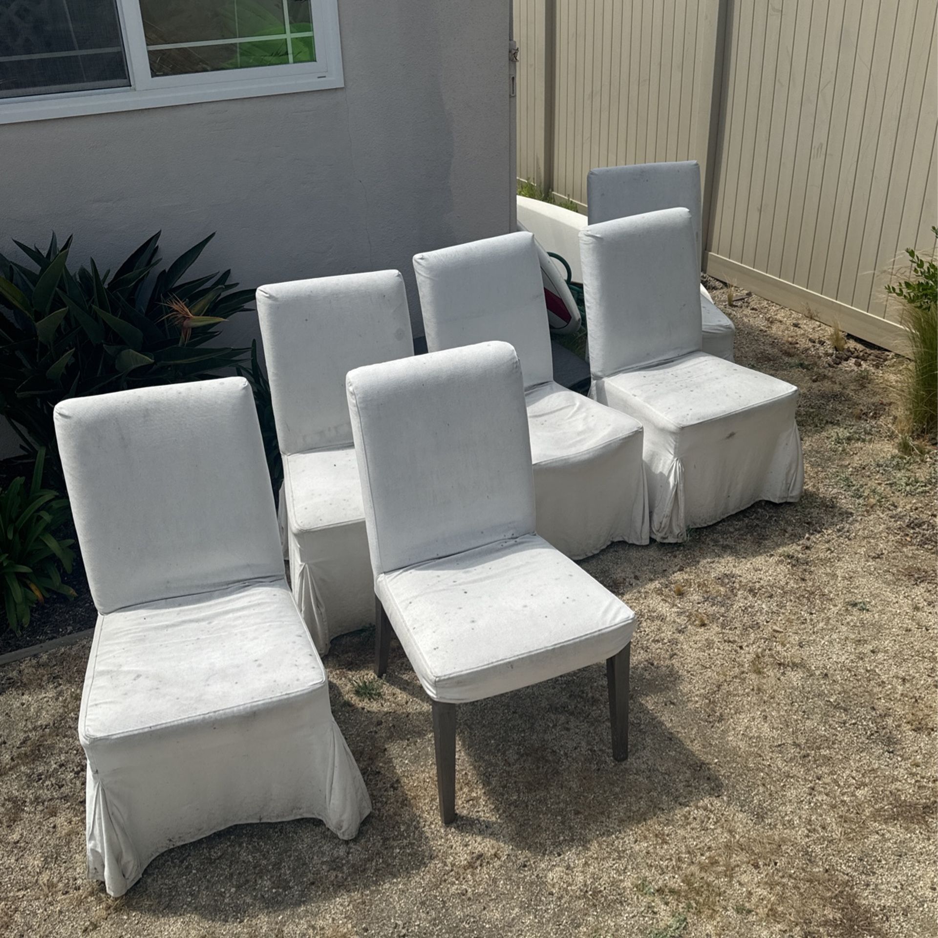 6 Chairs