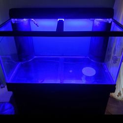 120 Gallon Aquarium 