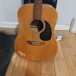 Johnson Acoustic Guitar