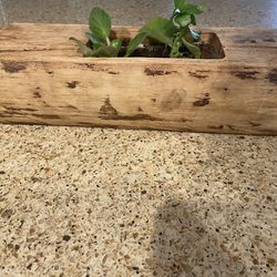 Wood Holder For Plant