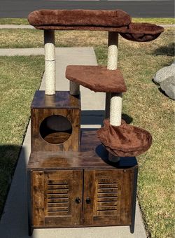 Cat tree with cabinet for litter box