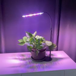 Indoor Grow Light!!!