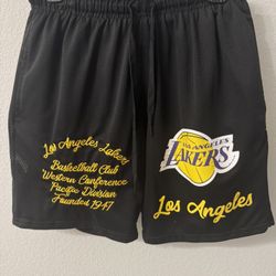 Los Angeles Lakers Basketball Shorts size Medium, Yellow, Black, White, And Purple Ultra Game