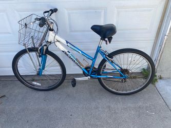 Schwinn Bike