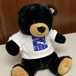 Niagara Fall hoodie black bear plush toy