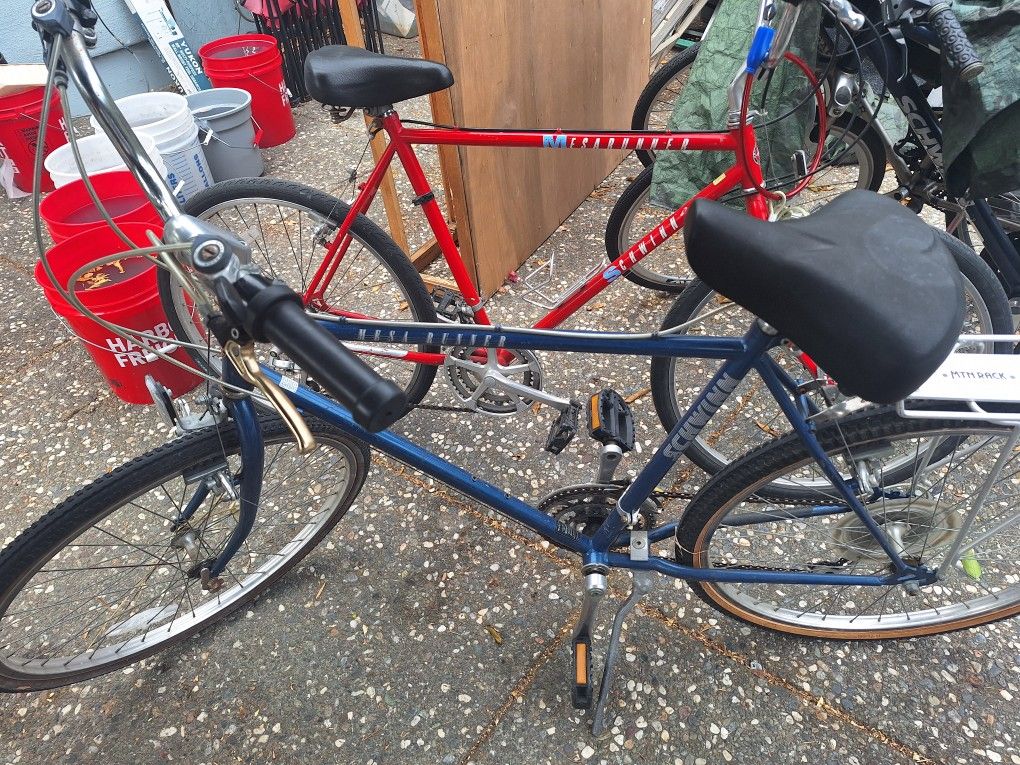 Blue Schwinn MESA RUNNER