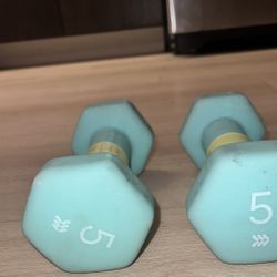 5 Lb Weights And Push-up Bar 