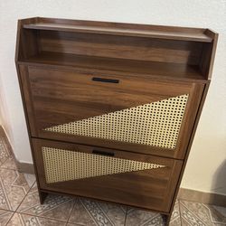 Zapatera Organizadora NEW