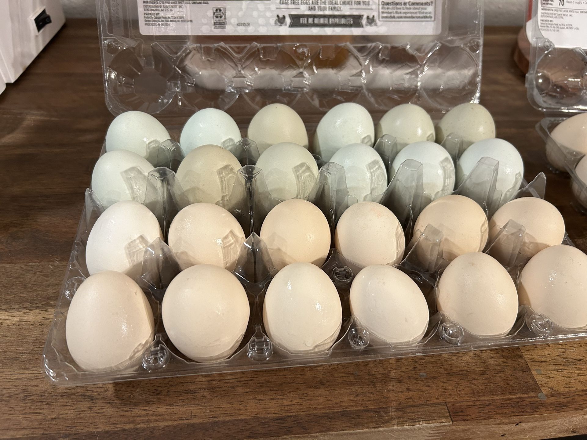 Farm Fresh Eggs