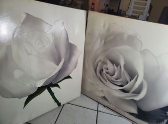 White Rose Canvas Wall Art Set of 2