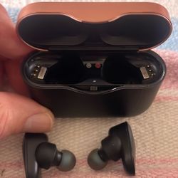 Sony.  Ear Pods.   2nd Gen Very Nice Sound 