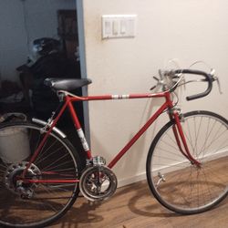 1978 Montgomery Ward 10 Speed Made in Austria 