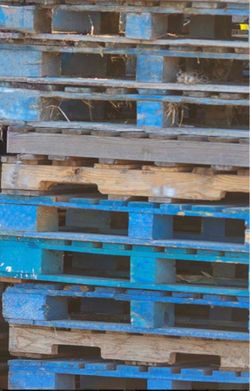Wooden pallets