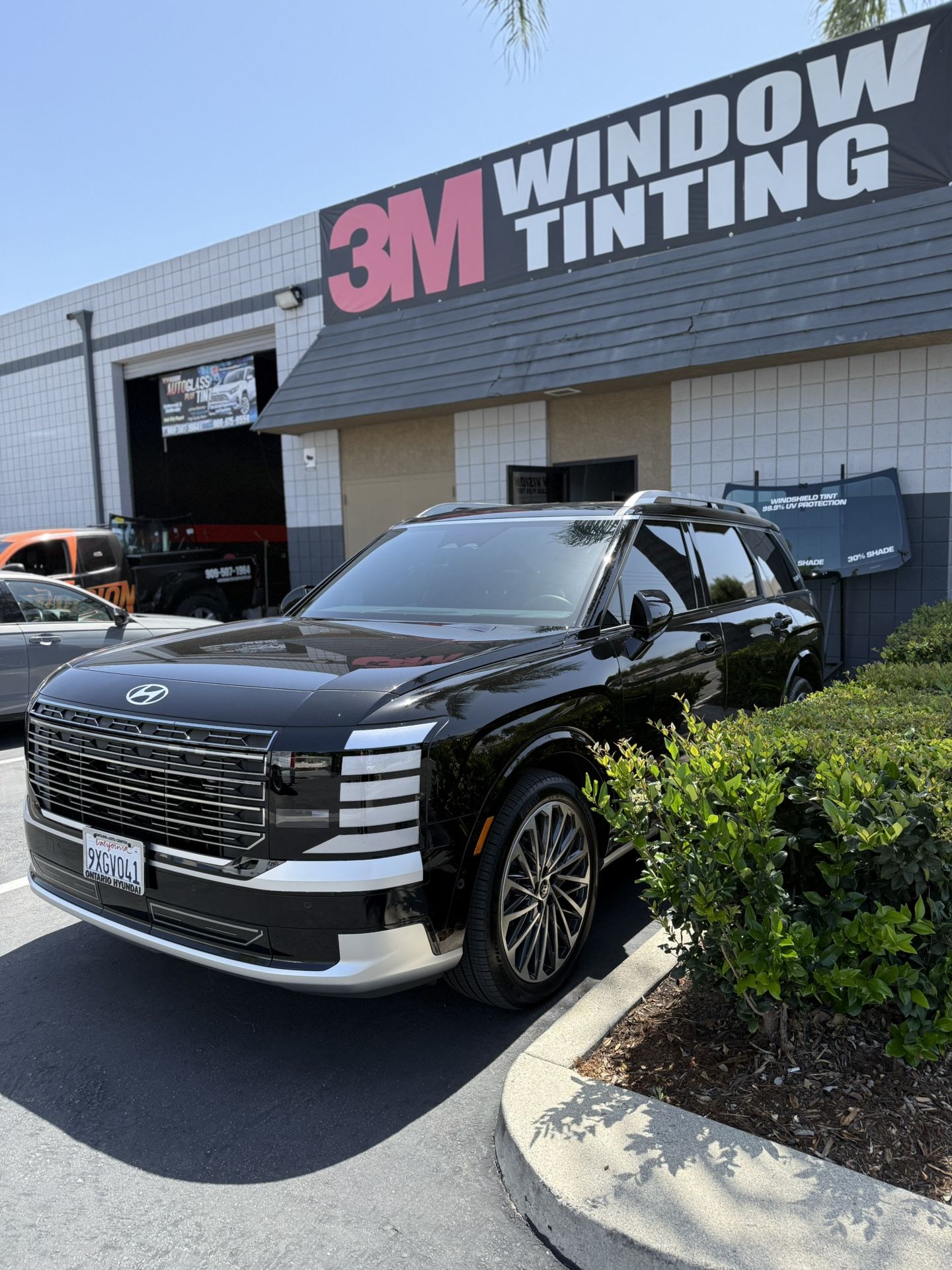 Tint For Sale