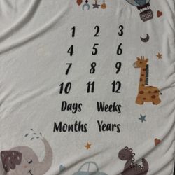 Baby Monthly Milestone Blanket