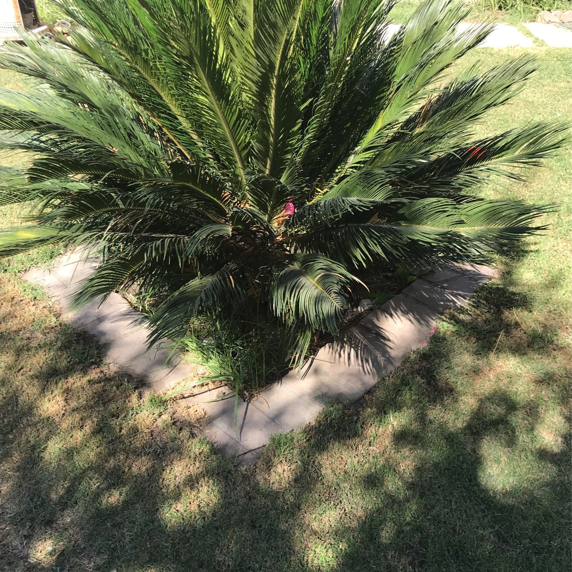 Yard Sale 1634 Arlington Ct Turlock Ca 