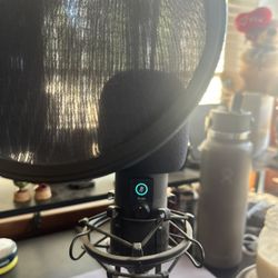 Lightly Used Professional Mic