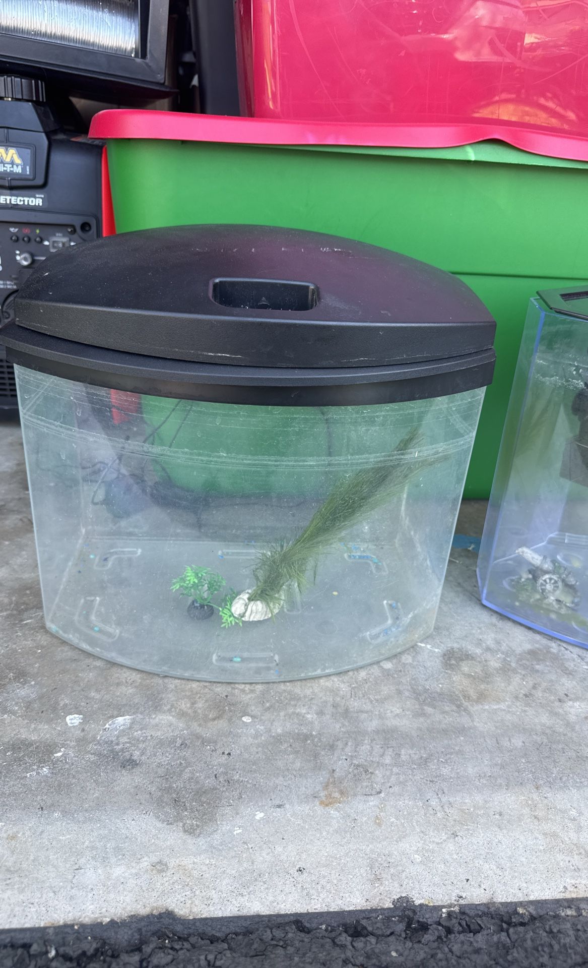 Fish Tanks