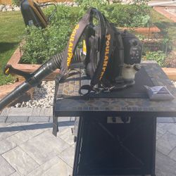 Leaf Blower 