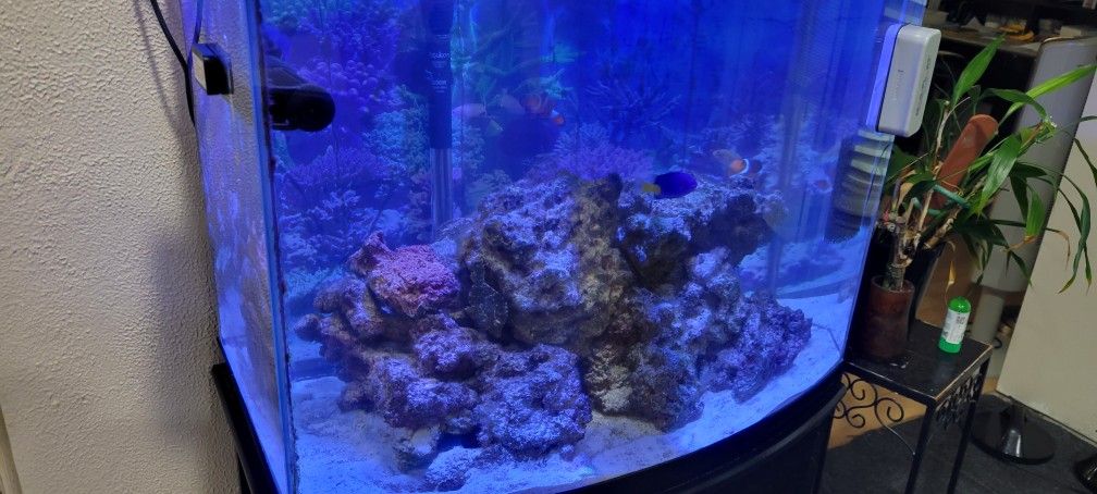 30 Gallon Dalt Water Aquarium 