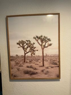 Joshua tree frame