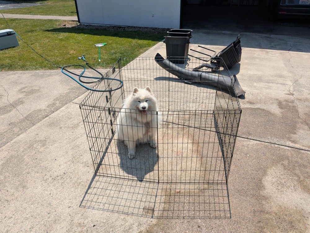 Dog Exercise Pen/Playpen/Kennel