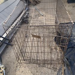 Variety of different size animal kennels