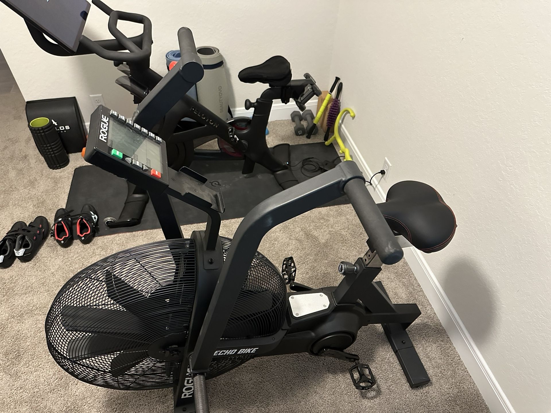 Rogue ECHO Bike V2.0