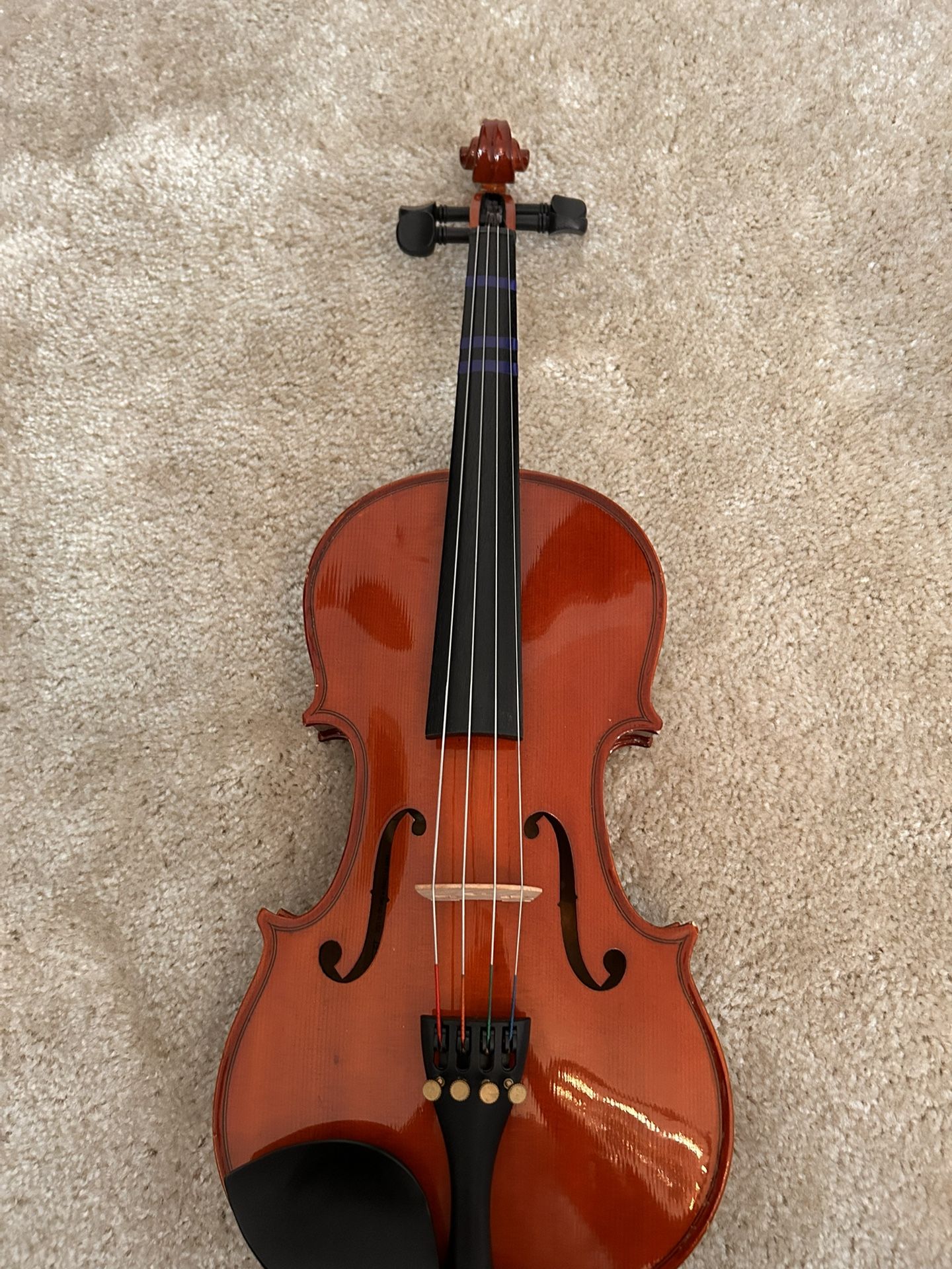 Bellafina 14” Viola