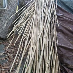 Bamboo  Sticks 