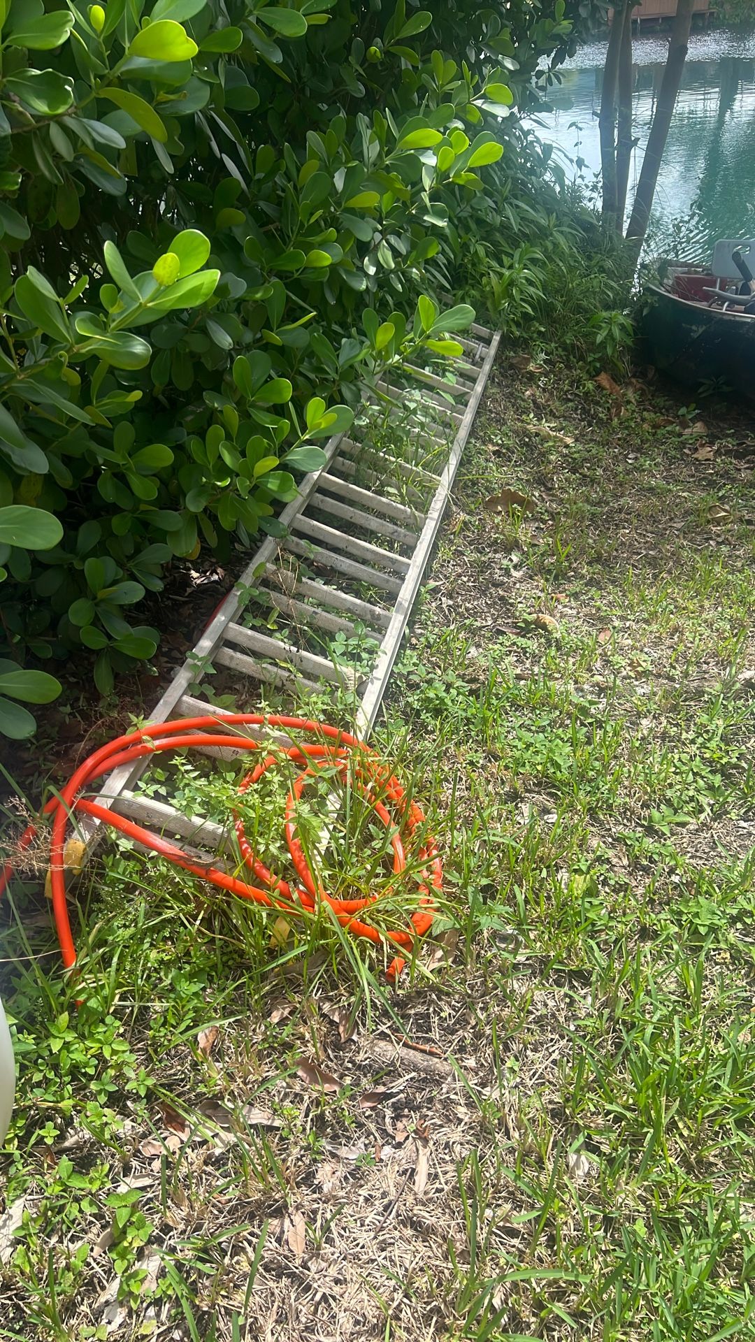 Ladder
