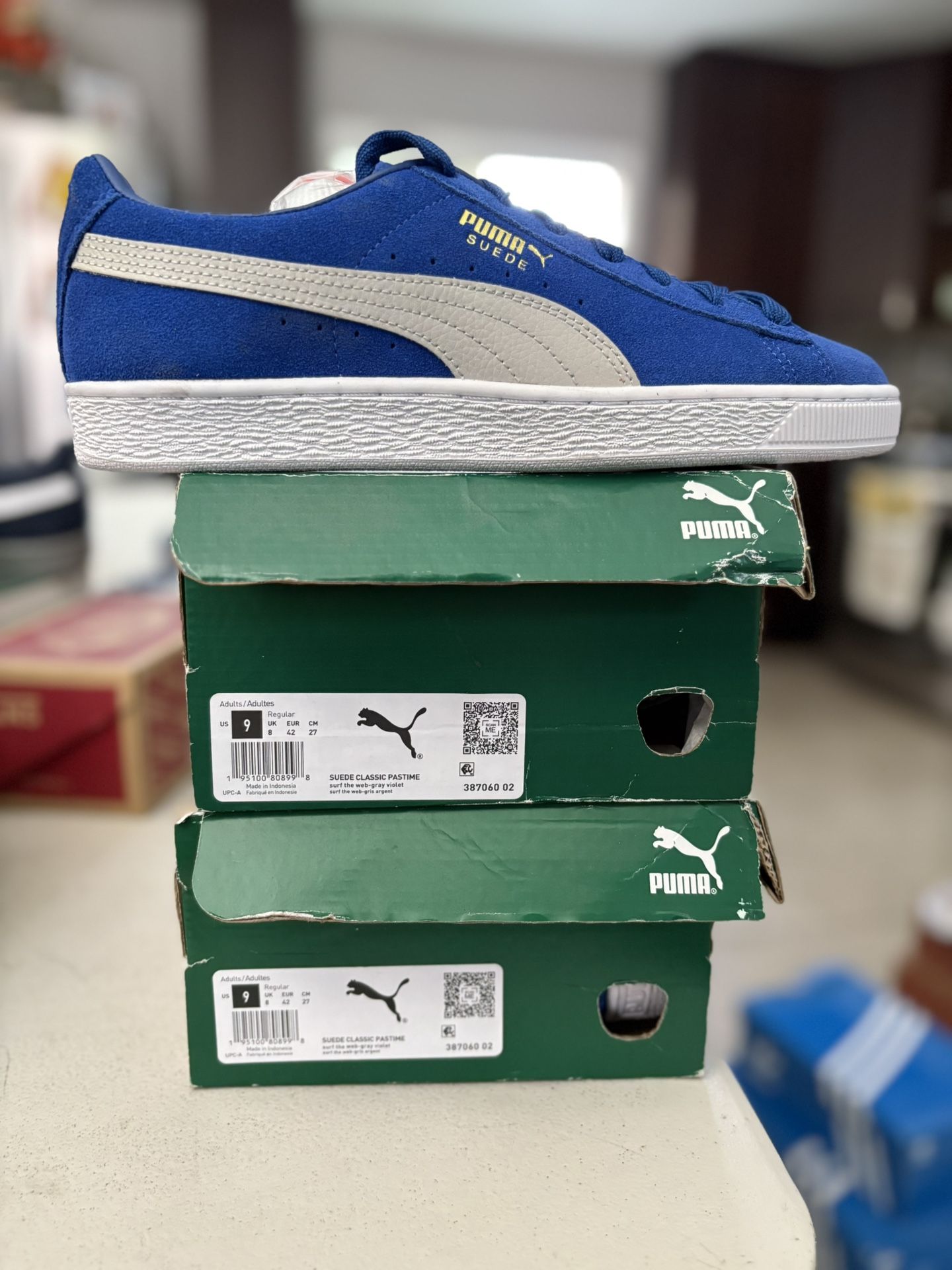 Puma