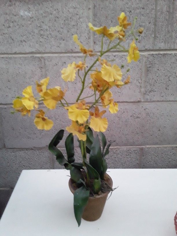 Beautiful Fake Yellow Plant