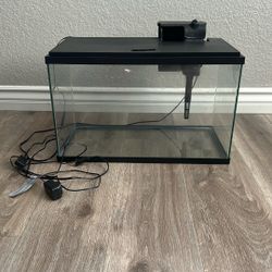 10 Gallon Tank