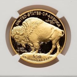 2006 Proof 24K One Ounce Gold Buffalol