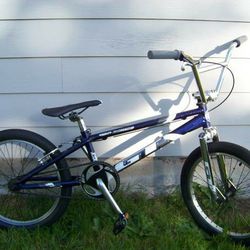 Youth Bike 1999 GT Pro Series XL-Plus Mid School BMX 20" Wheels

