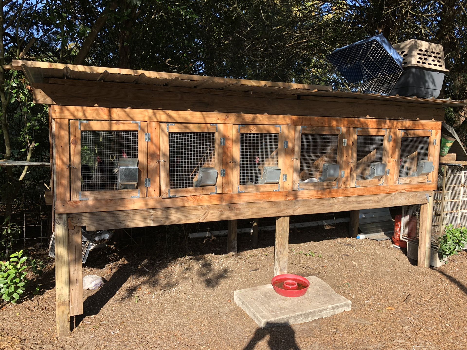Chicken coop and chickens for Sale in Ocala, FL OfferUp