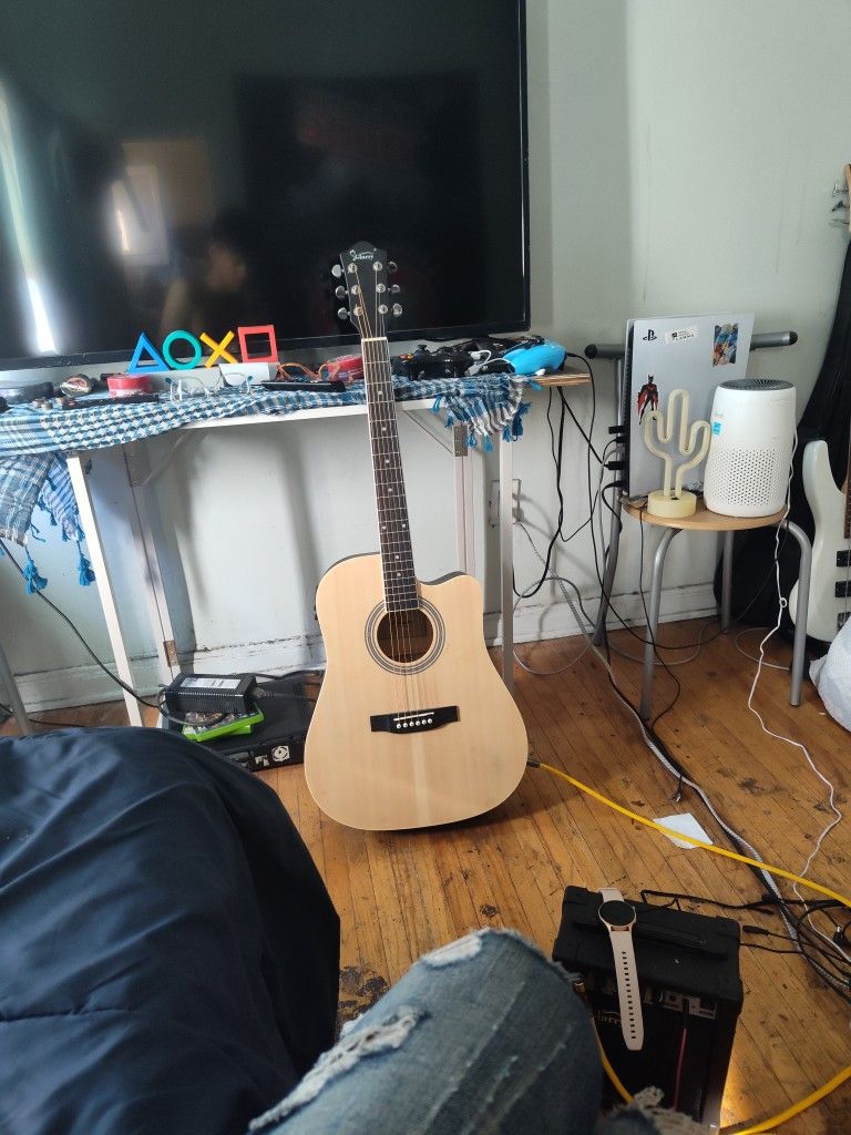 Electric Acoustic Guitar