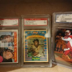 Graded Sports Lot
