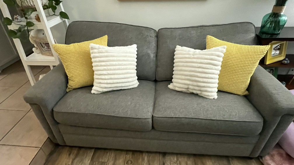 Grey Pull Out Couch