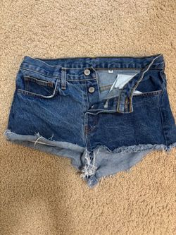 John Galt Denim Cutoff Shorts