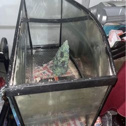 Fish Tank/Reptile Tank/rocks