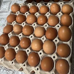 Organic Fresh Large Brown Eggs