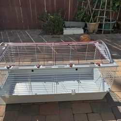 Guinea Pig Cage/habitat