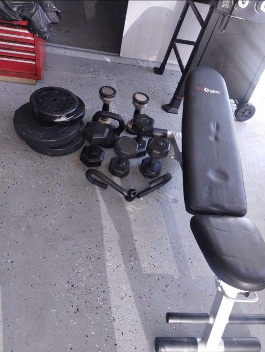 Set Of Weights With Bench