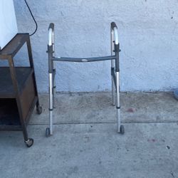 Andador Adult