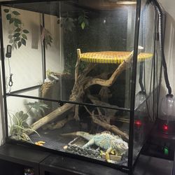 Terrarium 264 Gallon 