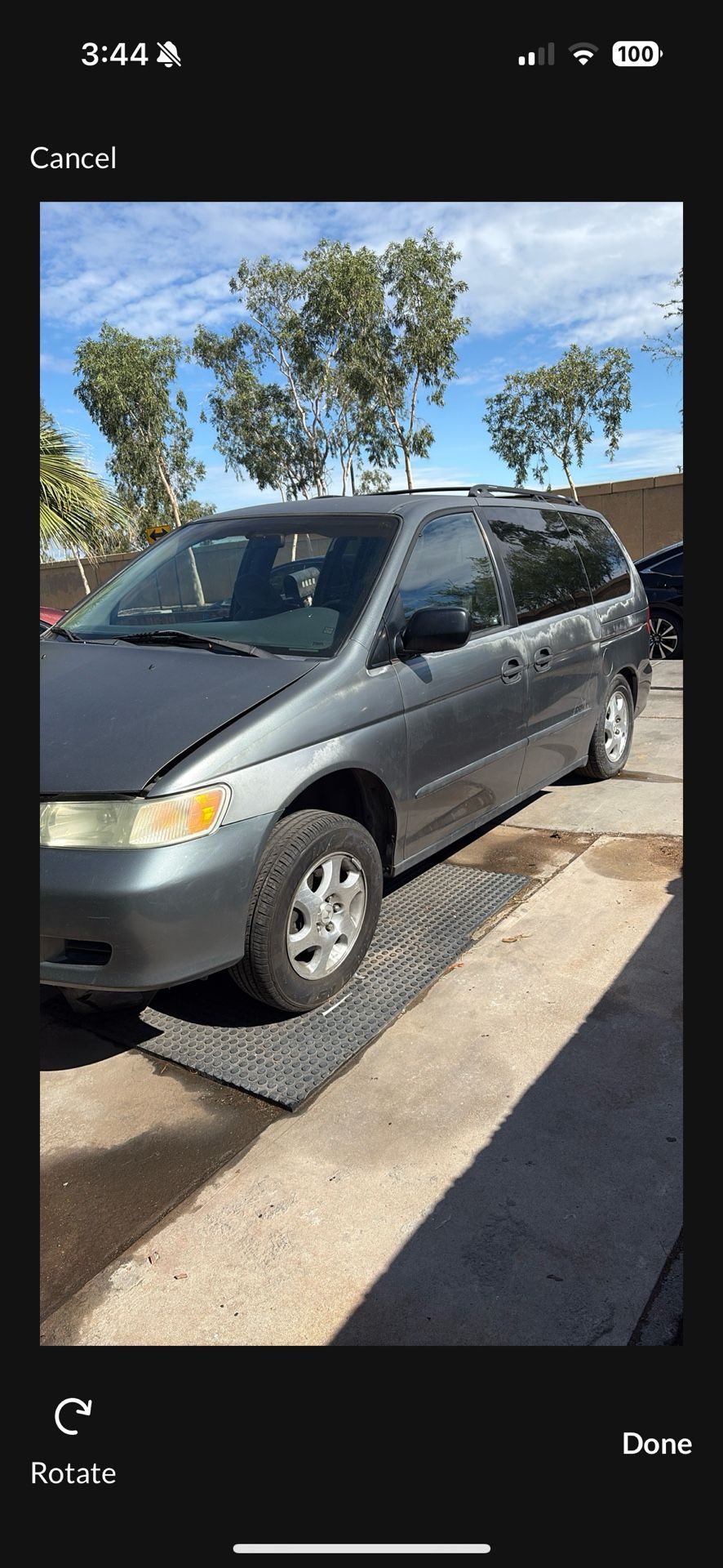 Need Gone