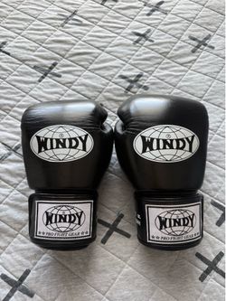 Windy BGVH 12oz Boxing Gloves